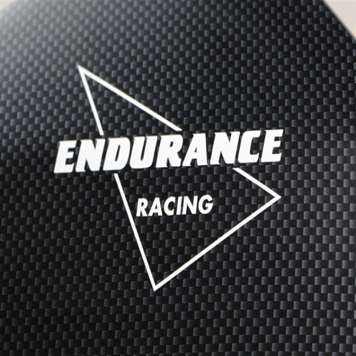 絵画 Endurance Amazon.co.jp: スーパーバイクファクトリーレーシング