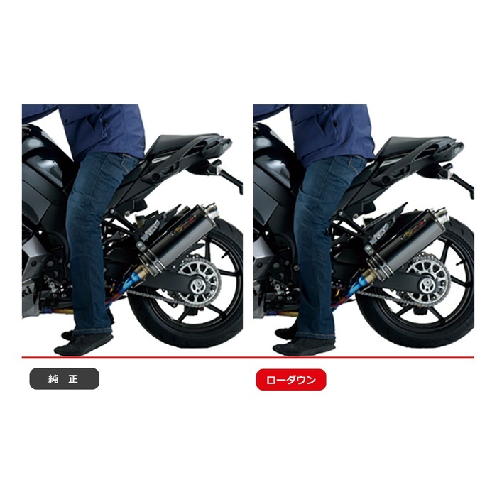 Ninja 1000用EFFEXローダウンキット20ⅿⅿダウン EFFEX (エフェックス ローダウン) ローダウンCOMPキット 20mmダウン