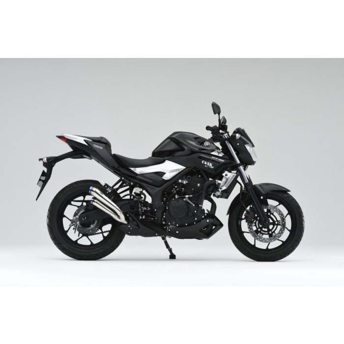 YZF-R25 MT-25 ツインチタンメガホン スリップオンマフラー ツインチタンメガホン スリップオン YZF-R25/MT-25 | System