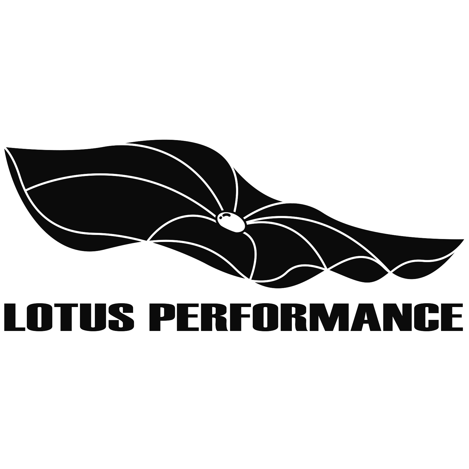 LOTUS PERFORMANCEのブランドロゴ