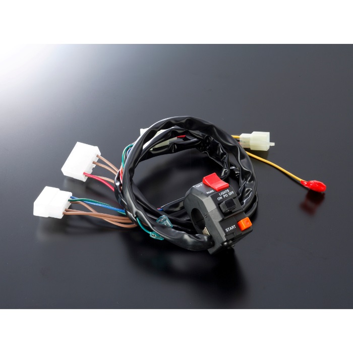 スイッチASSY TYPE-1 GSX1100S -93 (輸出仕様)｜ヘッドライト｜の通販