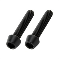 テーパーキャップボルト（ステンレス/ブラック）（2本入）M6X30mm（P-1.0）