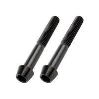 テーパーキャップボルト（ステンレス/ブラック）（2本入）M6X45mm（P-1.0）