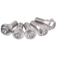 チタン ブレーキディスクボルトセット 5個 FlangeBolt φ10-M8x22