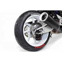 モノフローティングディスクローター リア φ250 T=5.0 R)Z900RS/CAFE(ABS) 18-25