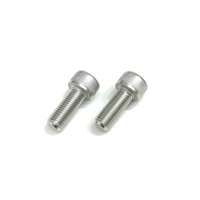キャリパーサポート用 ボルトセット [M10X25/P1.25] 2本入