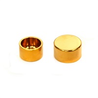 チタンピストンキット Elaborate フロント2Pキャリパー用 (34φx2)  ラジアル60mm用