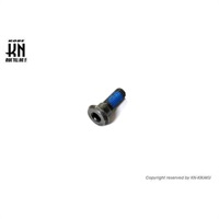 汎用ジャイロキャノピーフロントハブ専用【ディスクボルト】1個