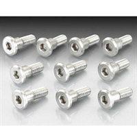 【在庫限り】【アウトレット】ローターボルト(HONDA TYPE-2)10個入り