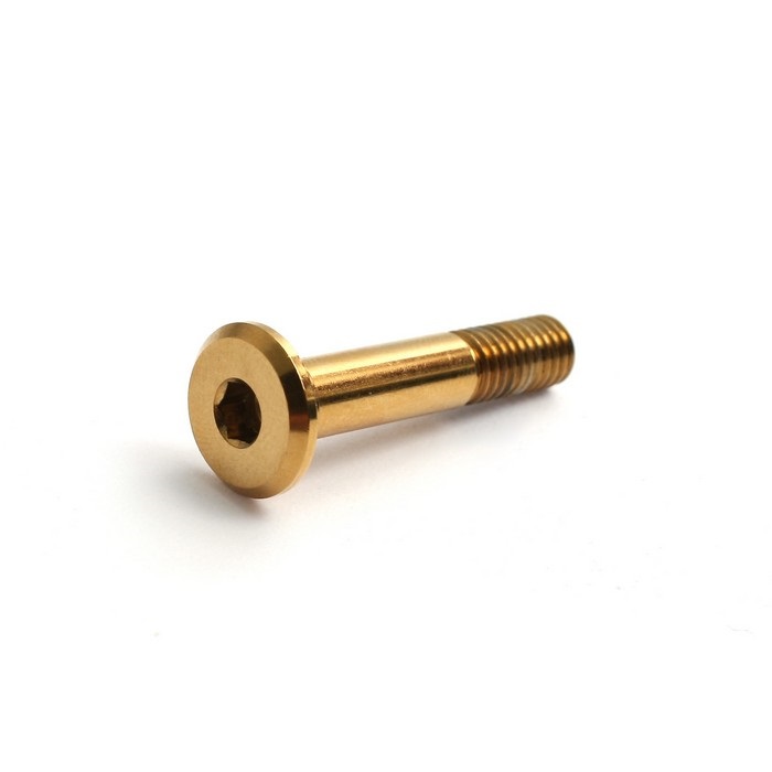 ピボットピン [GALE SPEEDワイヤークラッチホルダーキット用