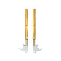 FGRT200倒立フロントフォーク R nine T 2017-23