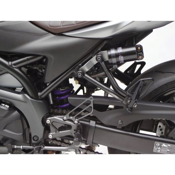お値下げ　ランバイク　カーボン　deerobust ハイテクノロジーを駆使し、世界最速へ 新トラックバイクがお披露目