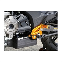 (正シフト) レースコンセプト ステップキット Z125 Pro 16-