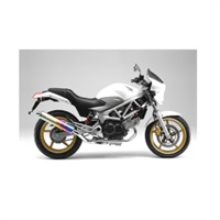 フルエキゾーストマフラー ZERO SS ANO 09-17 VTR