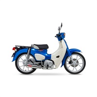 フルエキゾーストマフラー MEGAPHONE SUS 22- SUPER CUB 110/CROSS CUB C110
