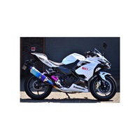 NASSERT-EvoⅡフルエキゾーストマフラー Ninja400 18-23