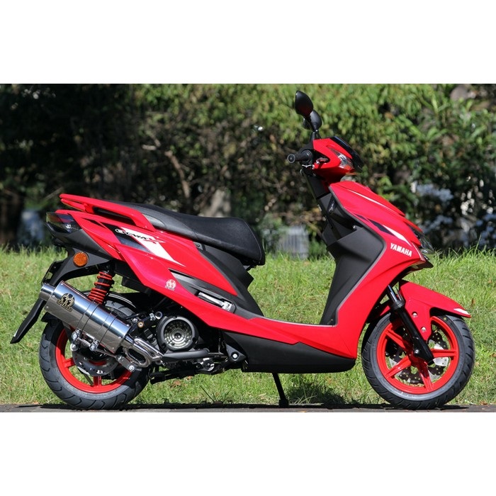 PURESPORT SilentVersion フルエキゾーストマフラー SUS