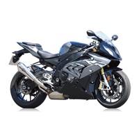 リアルスペック シングル スリップオンマフラー S1000RR 17-19