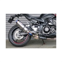 N-EvoⅡ スリップオンマフラー  Z900 20-21