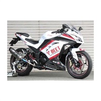 N-EvoⅡ スリップオンマフラー Ninja250/Z250 -17｜スリップオン