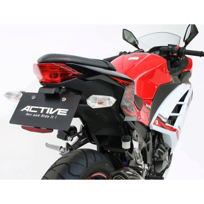 フェンダーレスキット ブラック [LEDナンバー灯付き] NINJA250 13-17