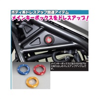 キーボックスカバー ゴールド タイプ4