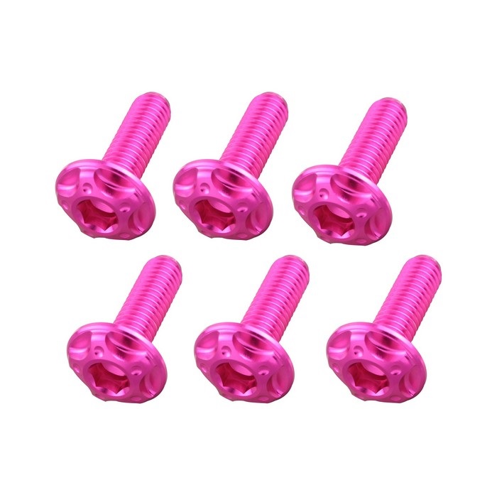 ビレットスクリーンボルトセット [M5x16mm6本]｜その他｜の通販なら