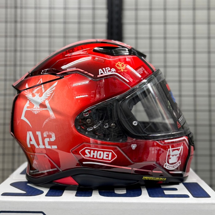 Z-8 MS-06S シャア専用ザクⅡ TC-1 RED/BLACK フルフェイス