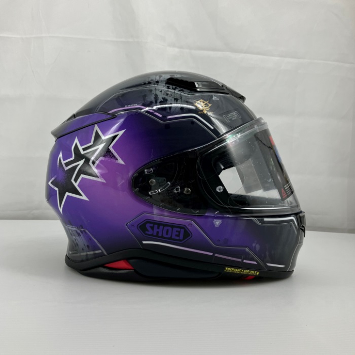 Z-8 MS-06R-1A 高機動型ザクⅡ TC-12 (黒い三連星仕様) PURPLE