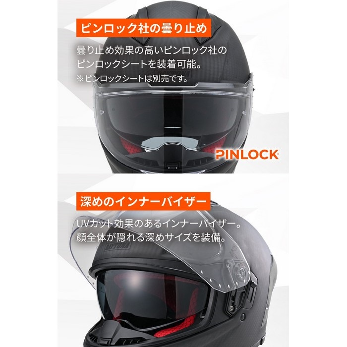 DN-011RC スポーツカーボン フラットブラック｜フルフェイスヘルメット
