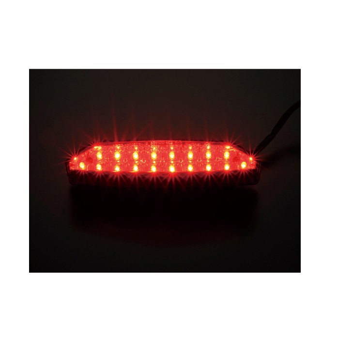 LEDテールランプユニット ダークレッド ZRX1200DAEG｜車種専用