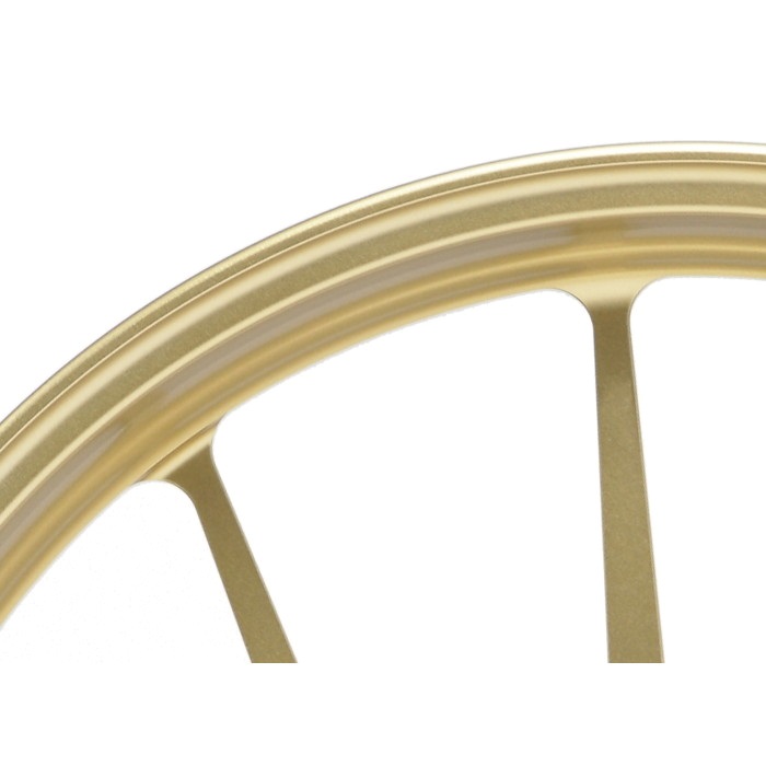 アルミ鍛造ホイール [TYPE-R] フロント 350-17 ZX-9R 02-03｜ホイール