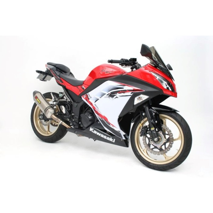 アルミ鍛造ホイール [TYPE-GP1S] フロント 300-17 中空ハブ NINJA250