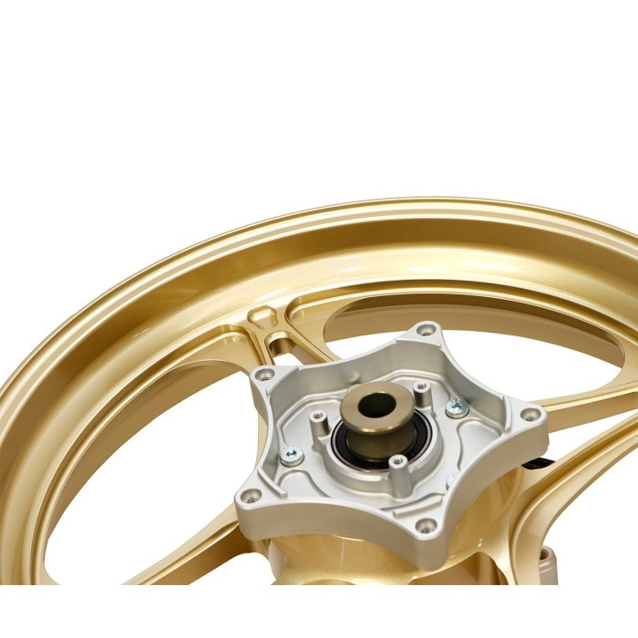 JLP17ページ アルミ鍛造ホイール [TYPE-R] リア 600-17 ZX-12R 00-06