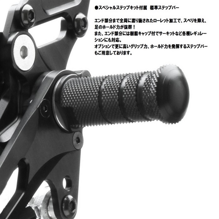 STRIKER Ninja ZX-25R スペシャルステップキット｜バック