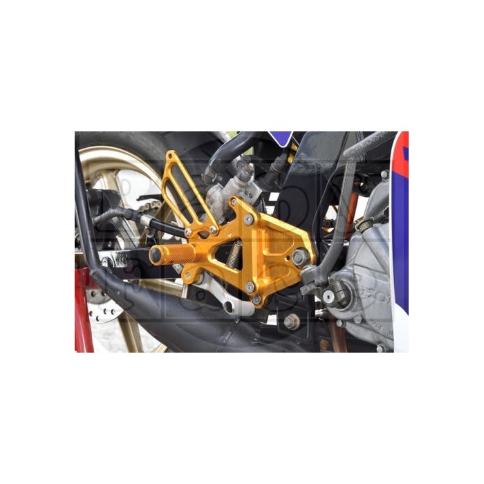 ピボットプレート ゴールド NSF100 NSR50｜その他ステップ関連 