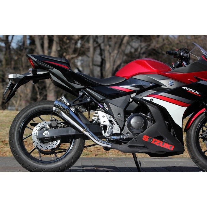 GSX250R トップケース・マフラー付き Amazon.co.jp: バイクラック に適合するスズキ GSX250R GSX250 R GSX