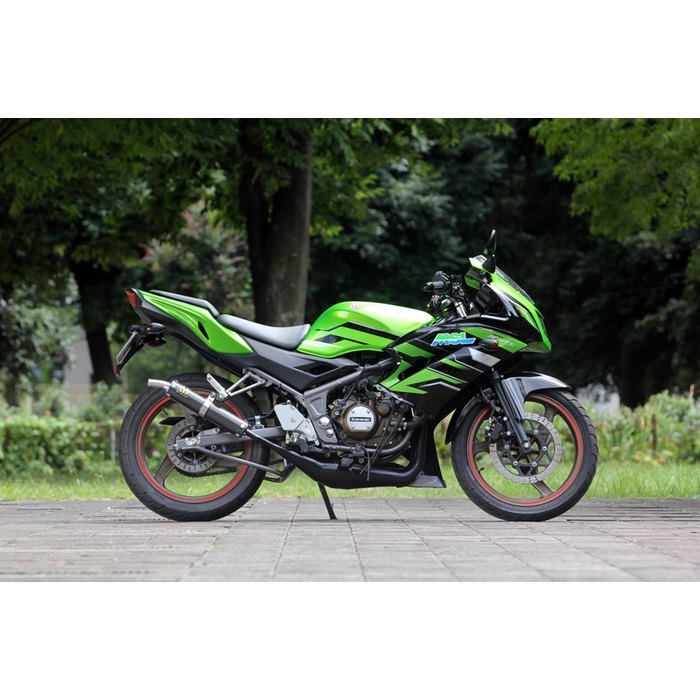 超特価⭐️早い者勝ち‼️ラジャス⭐️イオンチャンネル（シルバーのみ）❣️⭐️⭐️⭐️ ジャッカルチャンバー Ninja150RR｜チャンバー｜の通販なら