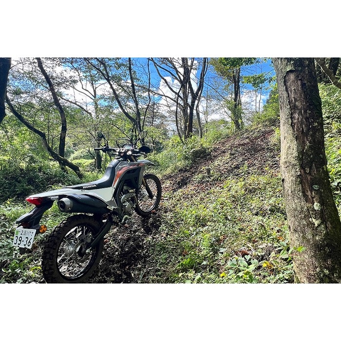 Napoliさん　専用 POWERBOX パイプ SANPO CRF250L 23-｜エキゾーストパイプ｜の