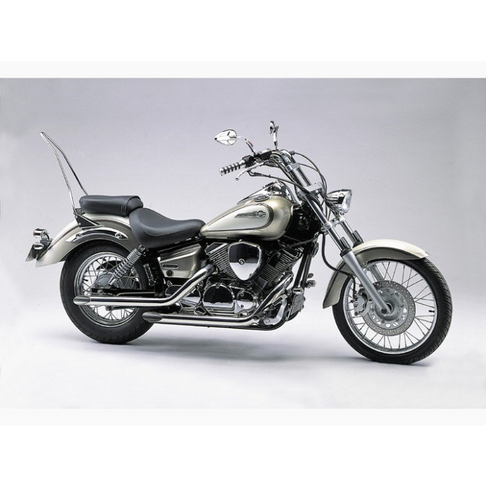 シーシーバー ホルダー ドラッグスター1100 99-08｜タンデムバー