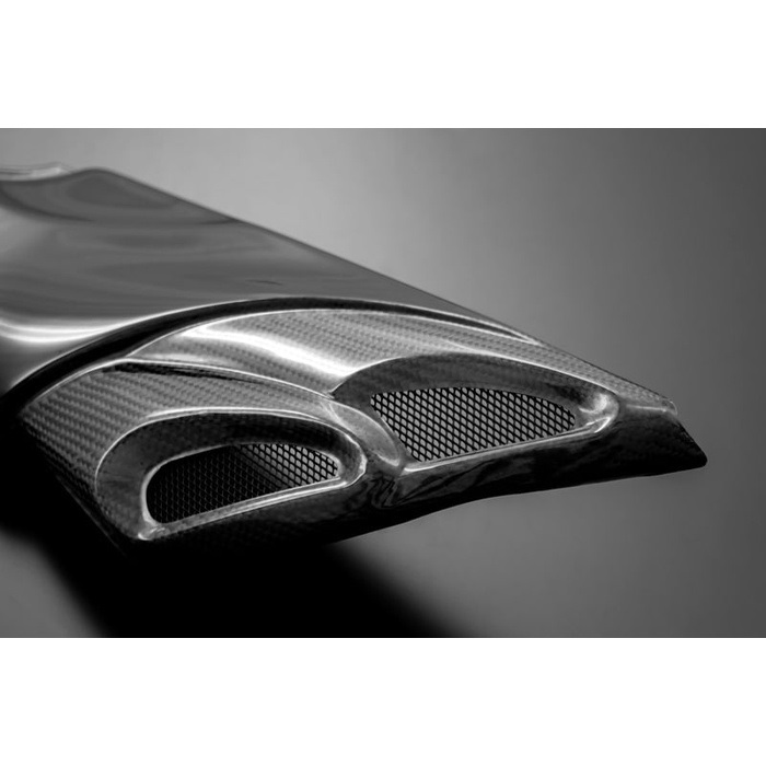 ダブル・バブル・インテーク（D.B.I） 未塗装 Z900RS/CAFE｜その他｜の