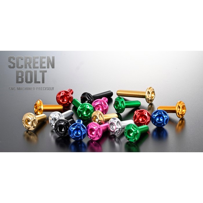 ビレットスクリーンボルトセット [M5x16mm6本]｜その他｜の通販なら