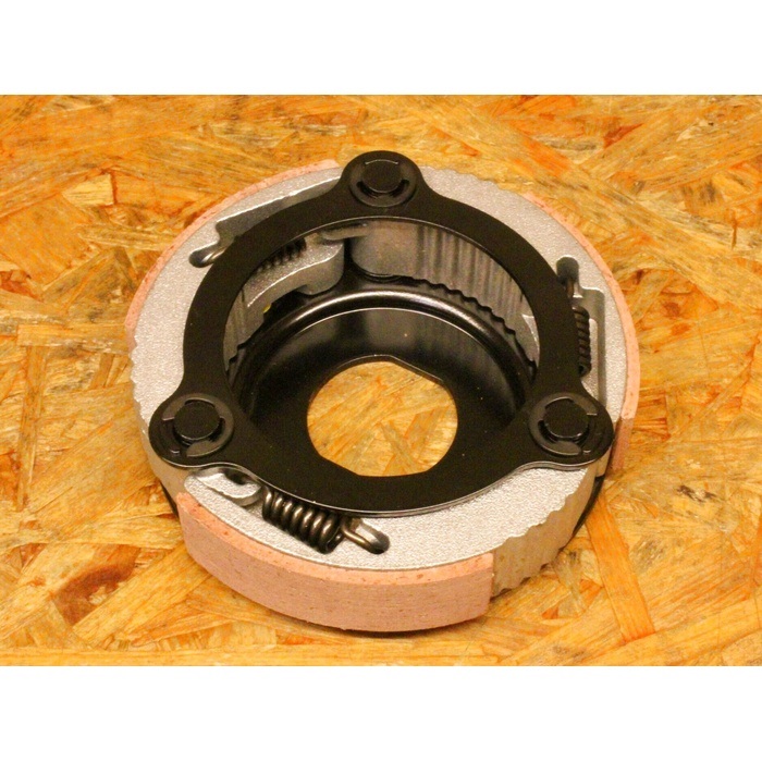 ヌマン　グラキリス　速達 P.グラキリス1244【綴化】 – TaiShoDo ONLINE SHOP